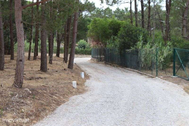 Terreno Rústico em Janas - Grande imagem: 5/11