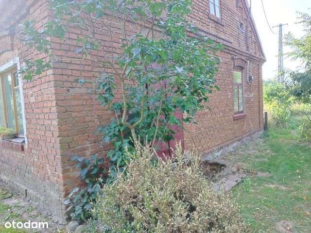 Stuletni dom na działce siedliskowej Dramin - Pełny obrazek: 5/12