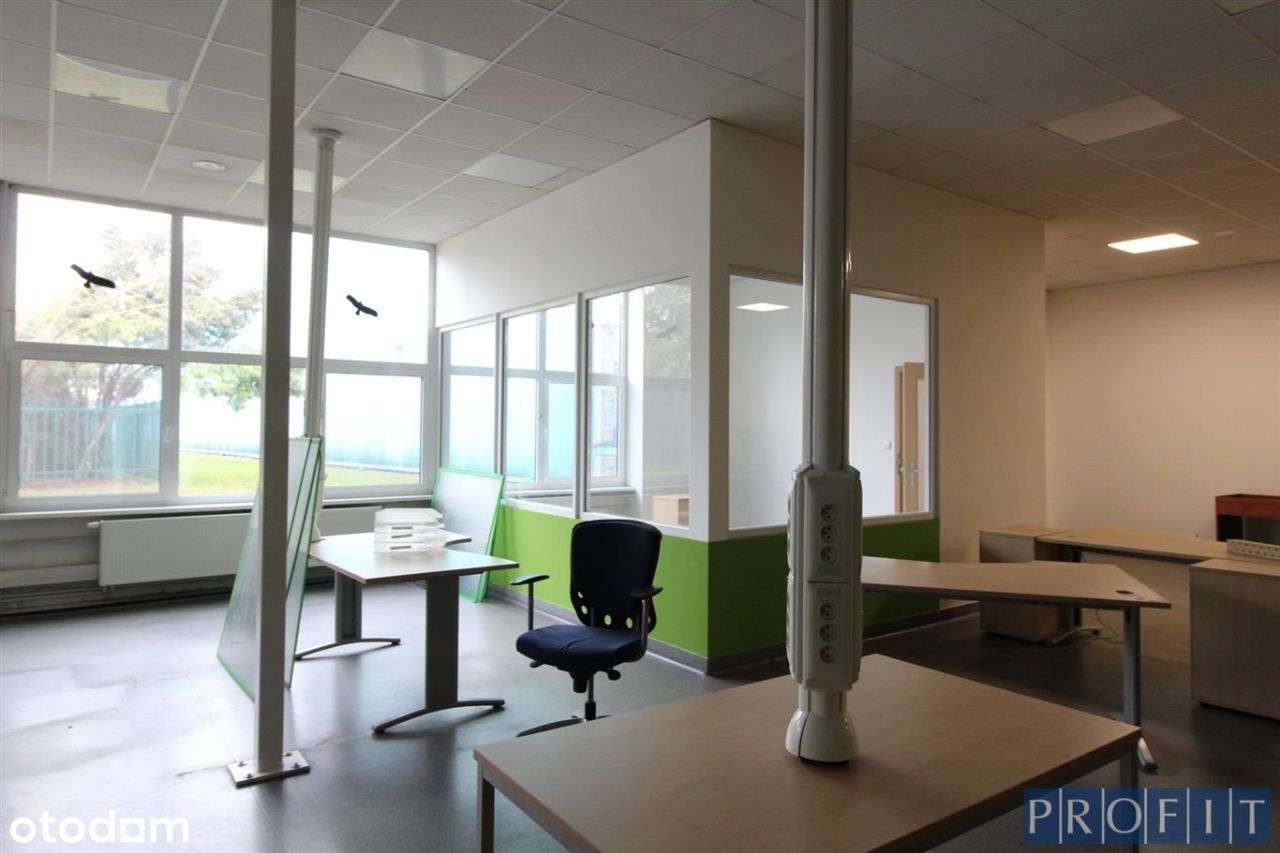 Magazyn/produkcja 5750 m² , Tychy - Pełny obrazek: 5/6