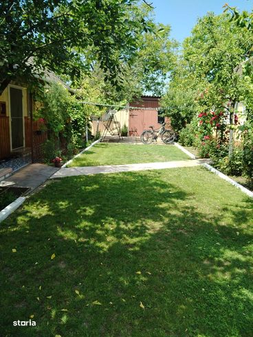 Casa Socodor 65000 euro-9