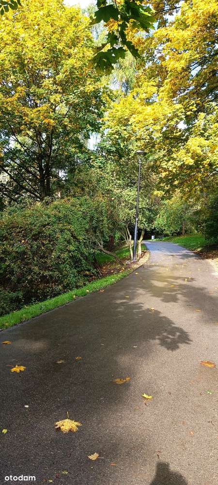 3-pok. z balkonem tuż przy parku – os. Tysiąclecia, blisko szkół i obw-16