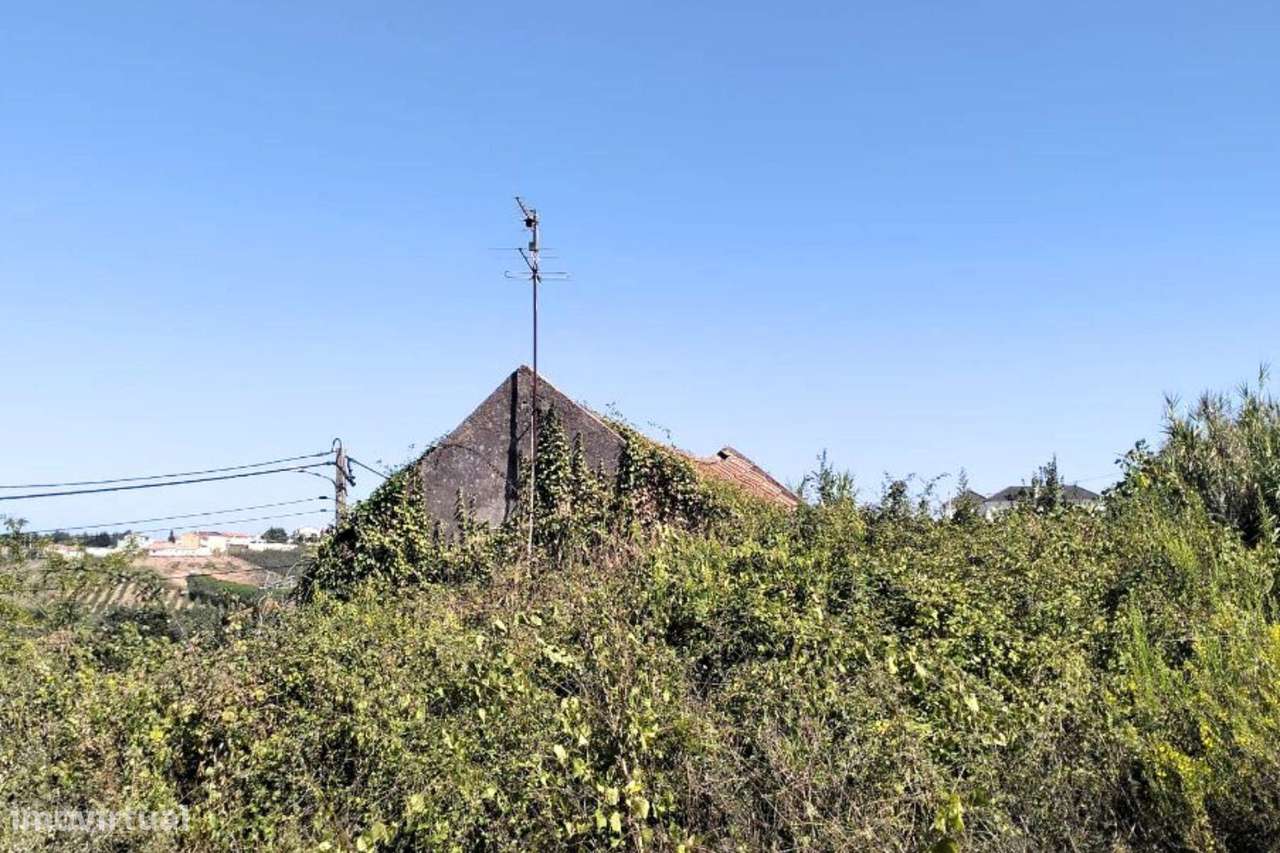 Arrecadação para remodelação em Boiça do Louro, Cadaval - Grande imagem: 3/3