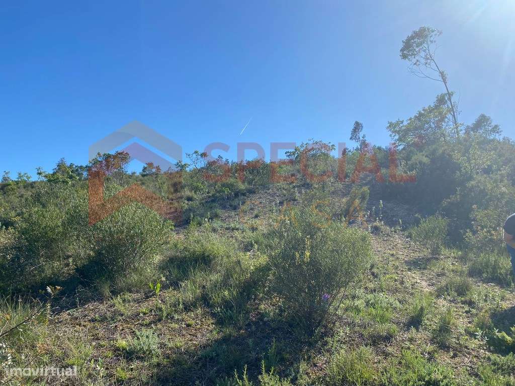Terreno para Construção em Tomar - Grande imagem: 2/7