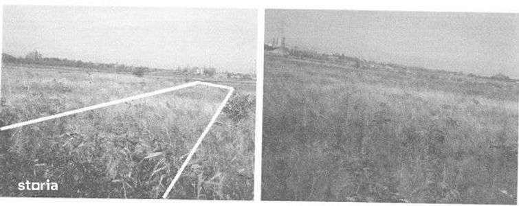 Teren extravilan comuna Valea Calugareasca, Prahova - 3004320-0