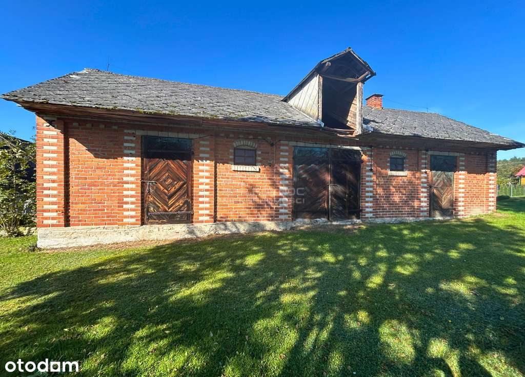 Szarowola: Twój Kawałek Raju z Potencjałem! - Pełny obrazek: 4/11