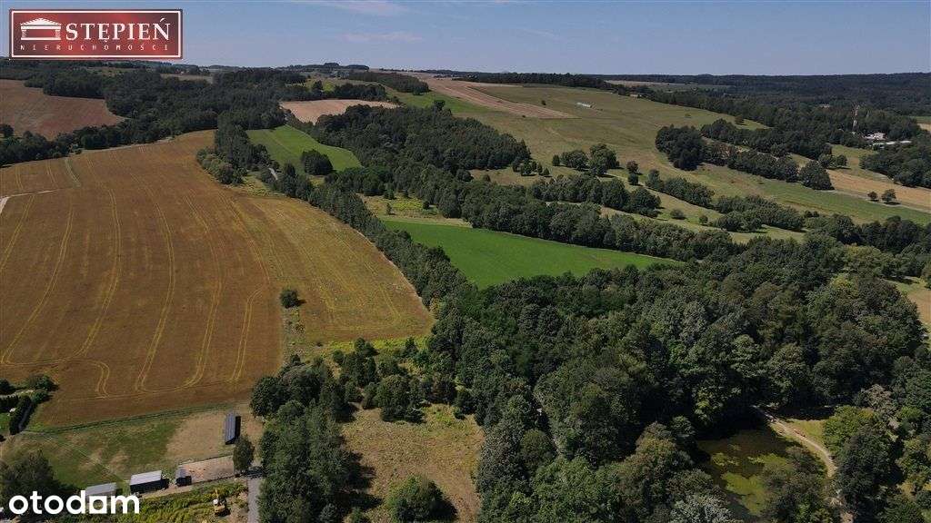 Działka, 2 400 m², Smolnik - Pełny obrazek: 2/3