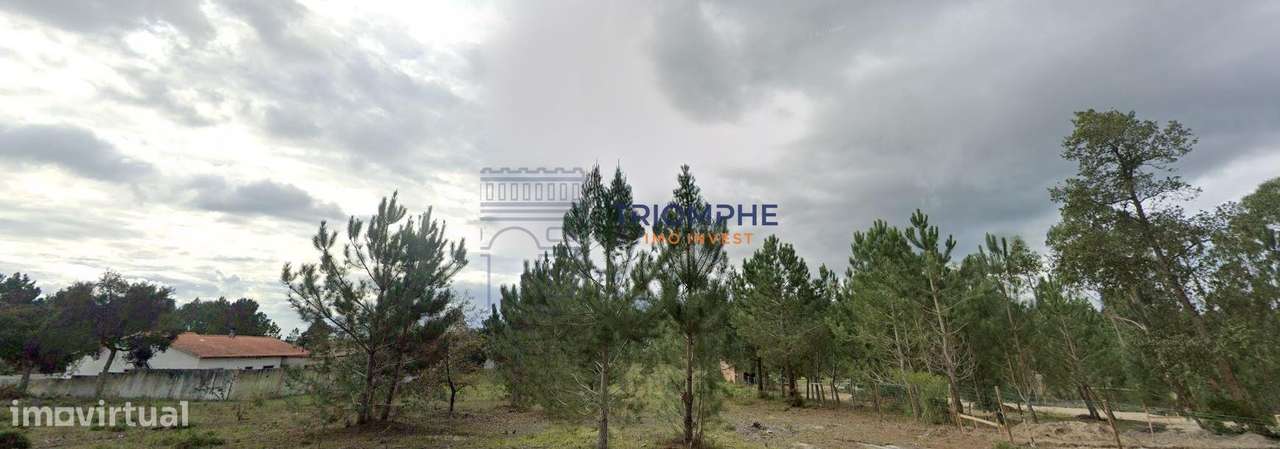 Terreno Urbanizável 4.500m2 Pataias, Alcobaça - Grande imagem: 2/5