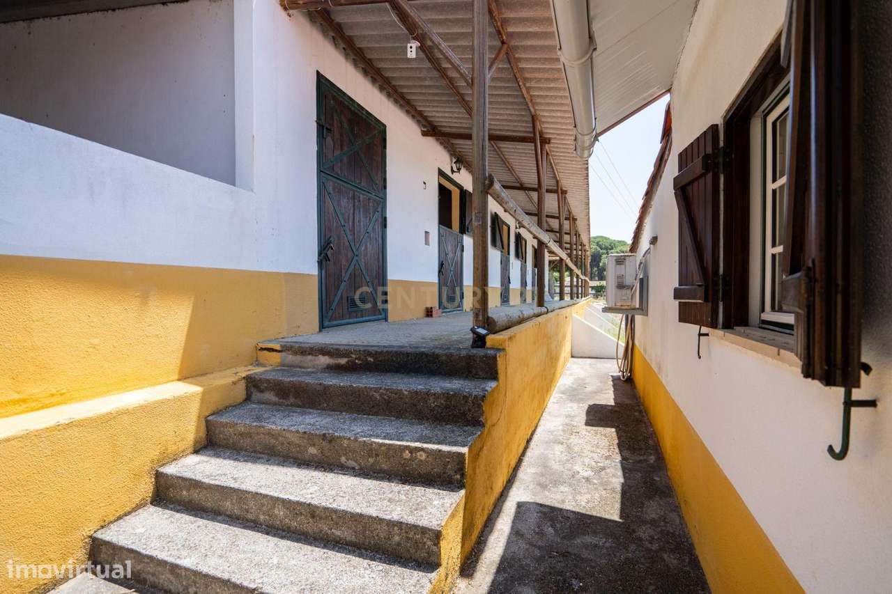 Quinta Equestre a 45 minutos de Lisboa-11