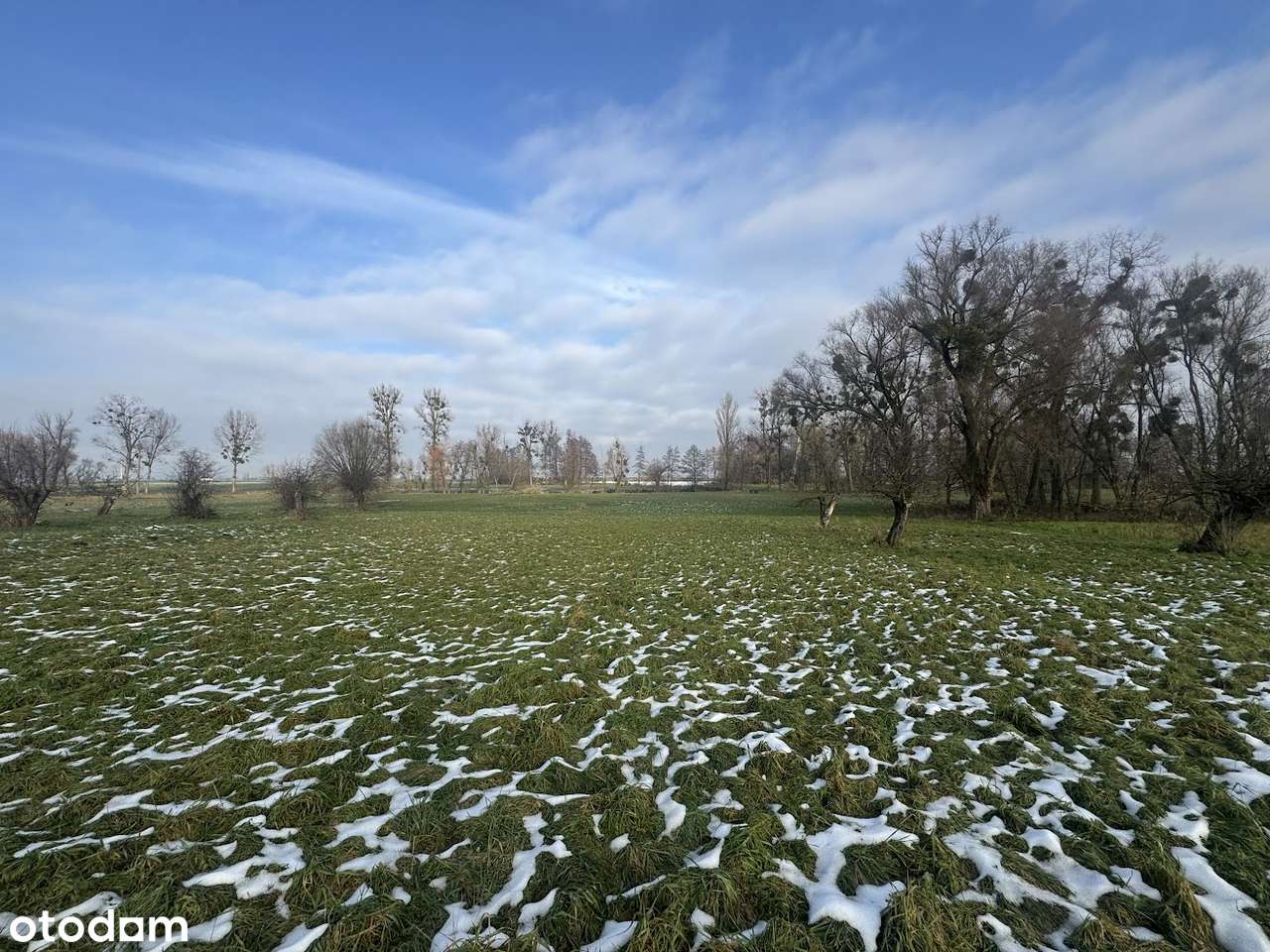 działka 1,2ha pod  budowę domu /firmy/inwestycje - Pełny obrazek: 3/7