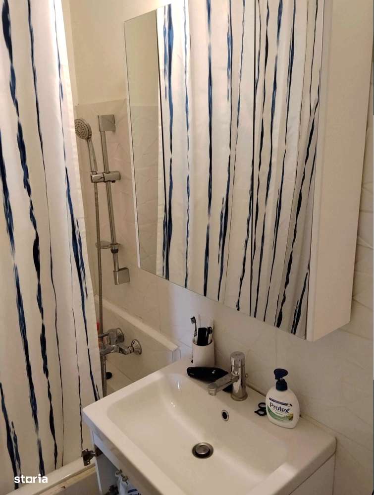 Baba Novac- Campia Libertatii, scoala Leonardo da Vinci-9