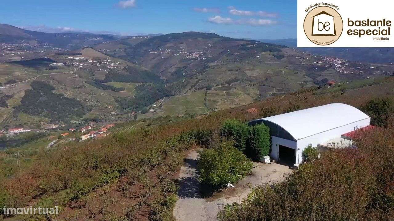 Quinta no Alto Douro Vinhateiro - Lamego com 7 ha (hectares)-19