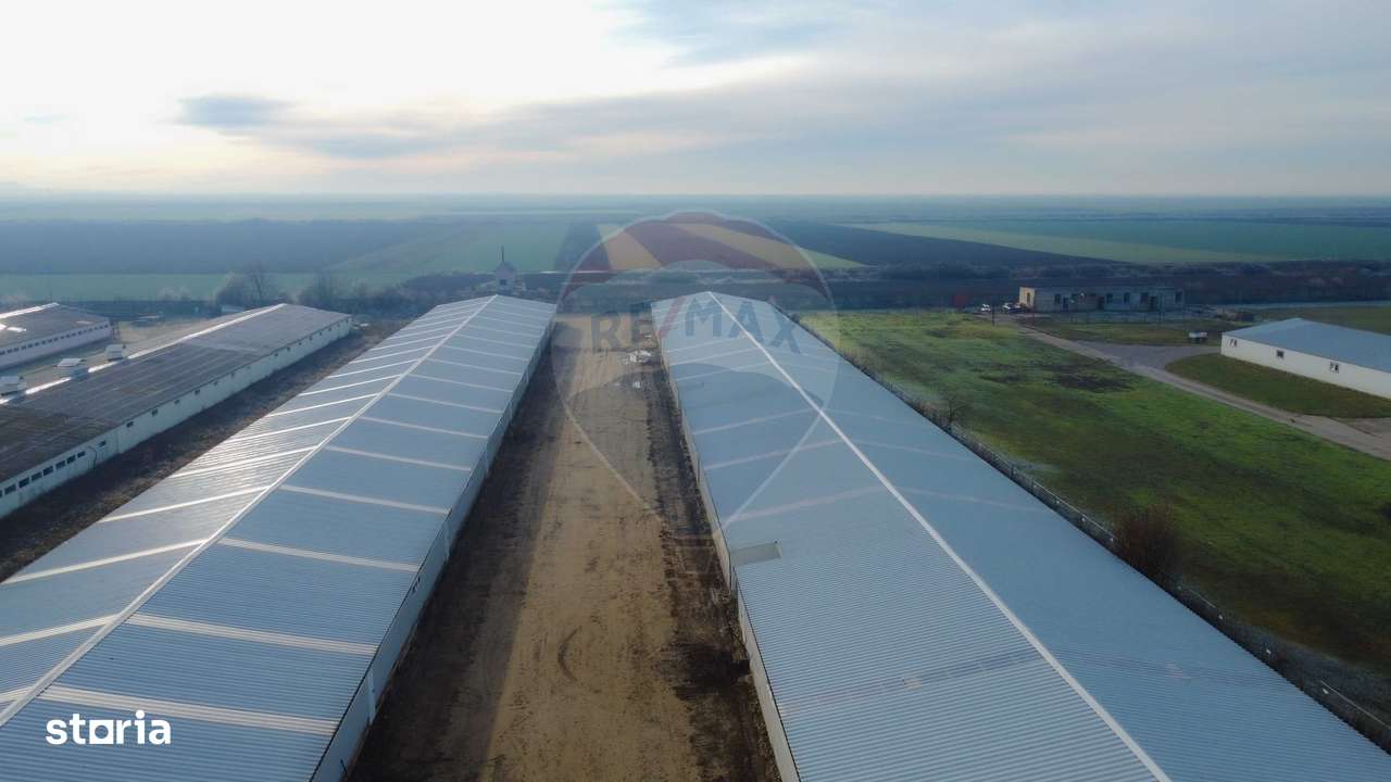 De vânzare – 2 hale industriale, 5.050 mp utili, Palota - Imagine principală: 5/15