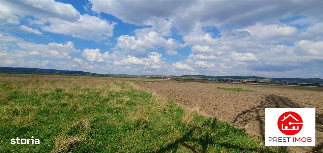 Teren  de 29 arii de vanzare pe strada Vladeasa, Targu Mures - Imagine principală: 5/6