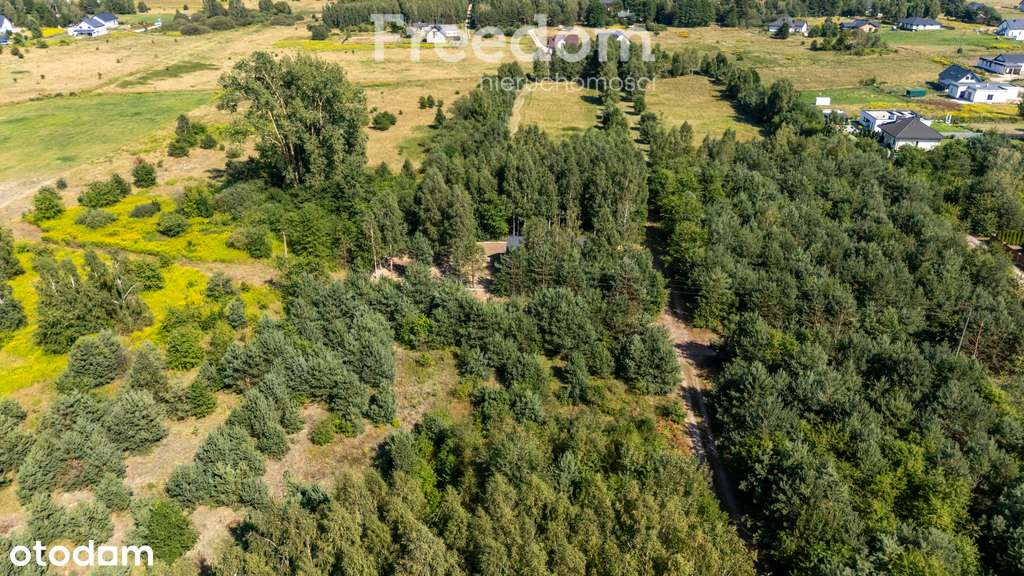 Działka 1000m² w Żelechowie - MPZP, S8 - Pełny obrazek: 4/7