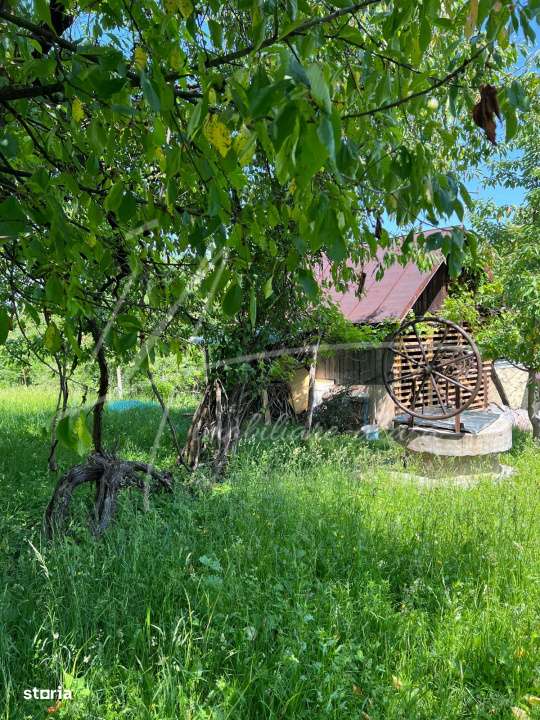 Teren intravilan 1740 mp. cu casa intabulata in PH-PROVITA DE SUS-13