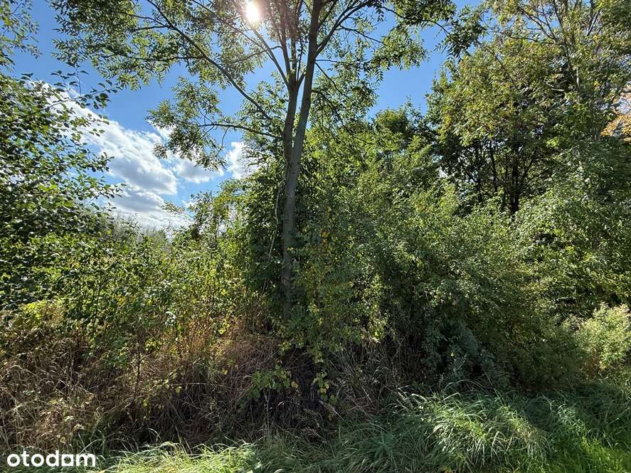 Działka w Przydrożu Wielkim-5