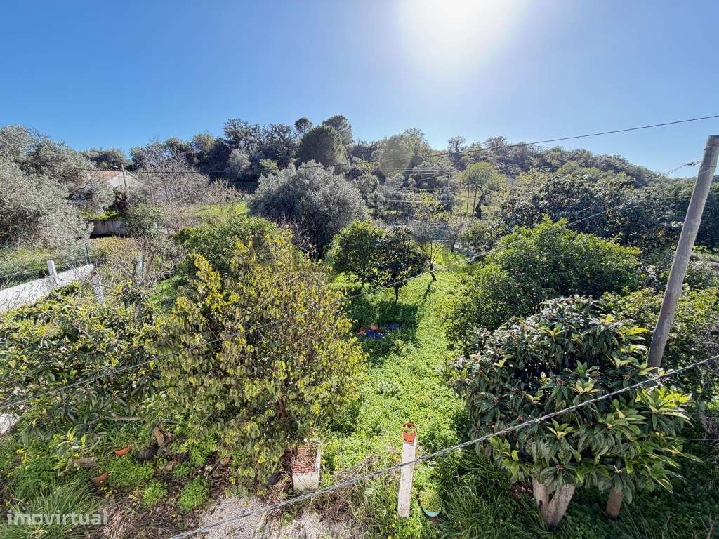 Oportunidade em Salir: Casa com Terreno Amplo e Anexo-11