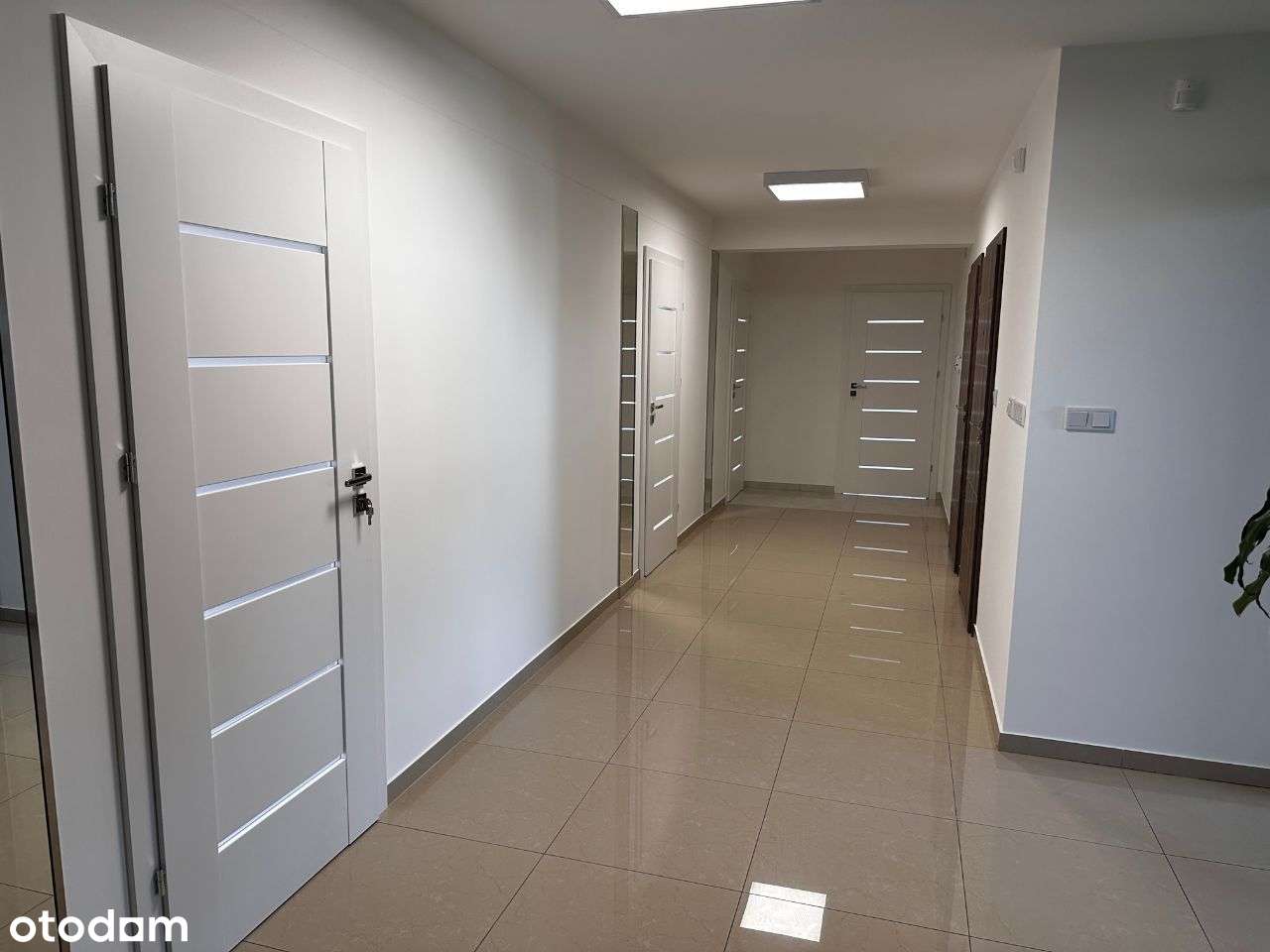 Biuro / siedziba firmy /30m2/media/parking w cenie !!! - Pełny obrazek: 5/6