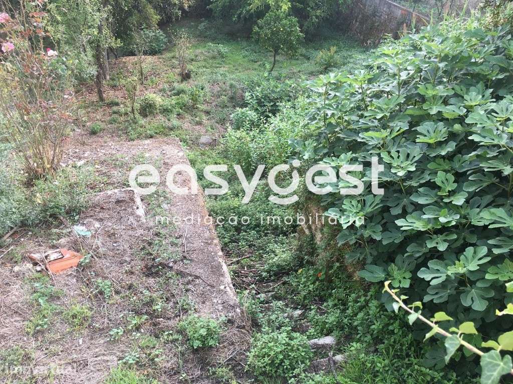 Terreno Misto com 800m2/ Ribeiro da Póvoa - Grande imagem: 4/5