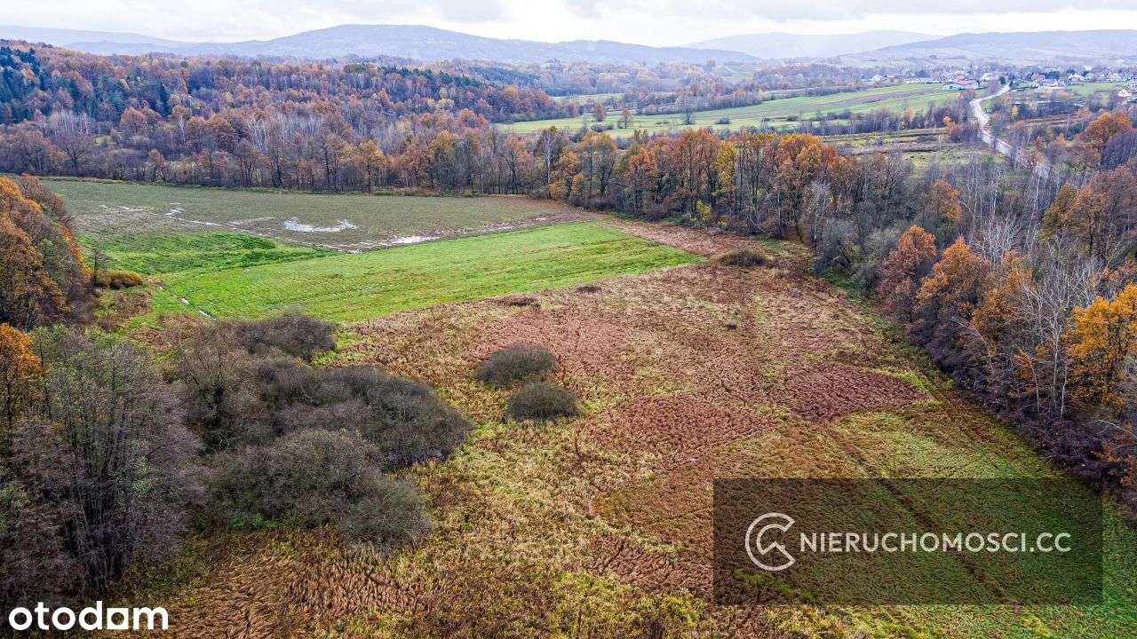 Działka rolna 57ar - Zawada - Myślenice OKAZJA! - Pełny obrazek: 4/6