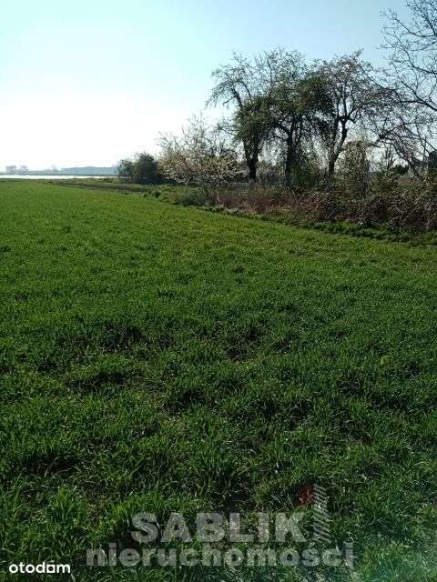 Działka budowlana 1465m2, Gmina Domaniów, Wierzbno - Pełny obrazek: 4/9