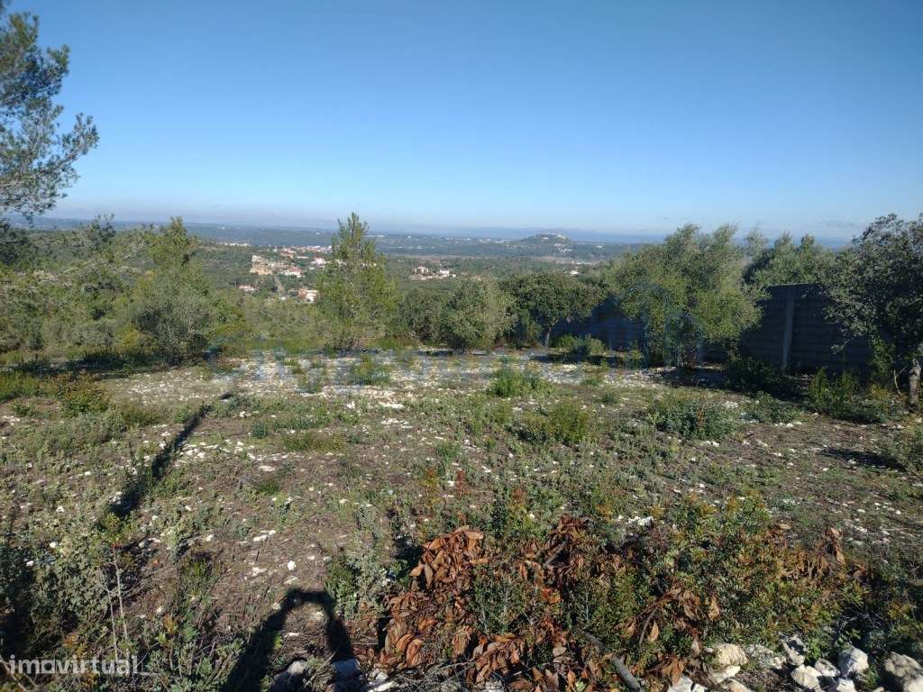 Terreno de 1505m2 urbanizável em Ortiga, Fátima com vista Castelo O...-10