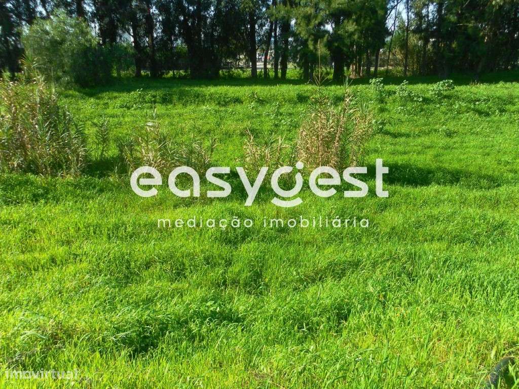 Lote de Terreno Urbano 253m2 para Moradia - Entroncamento - Grande imagem: 1/8