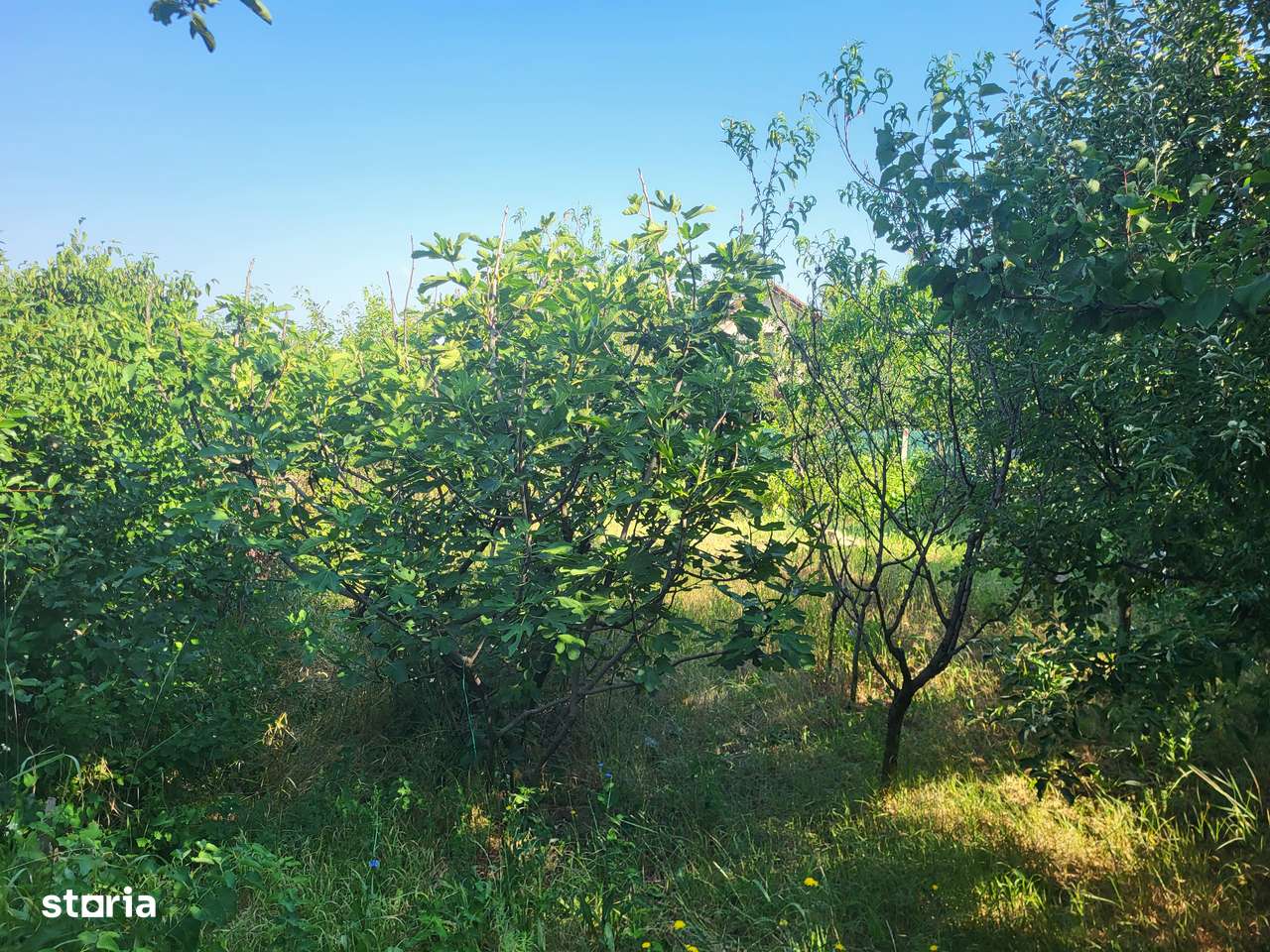 Teren cu anexa, strada Renasterii, Oradea - Imagine principală: 4/5