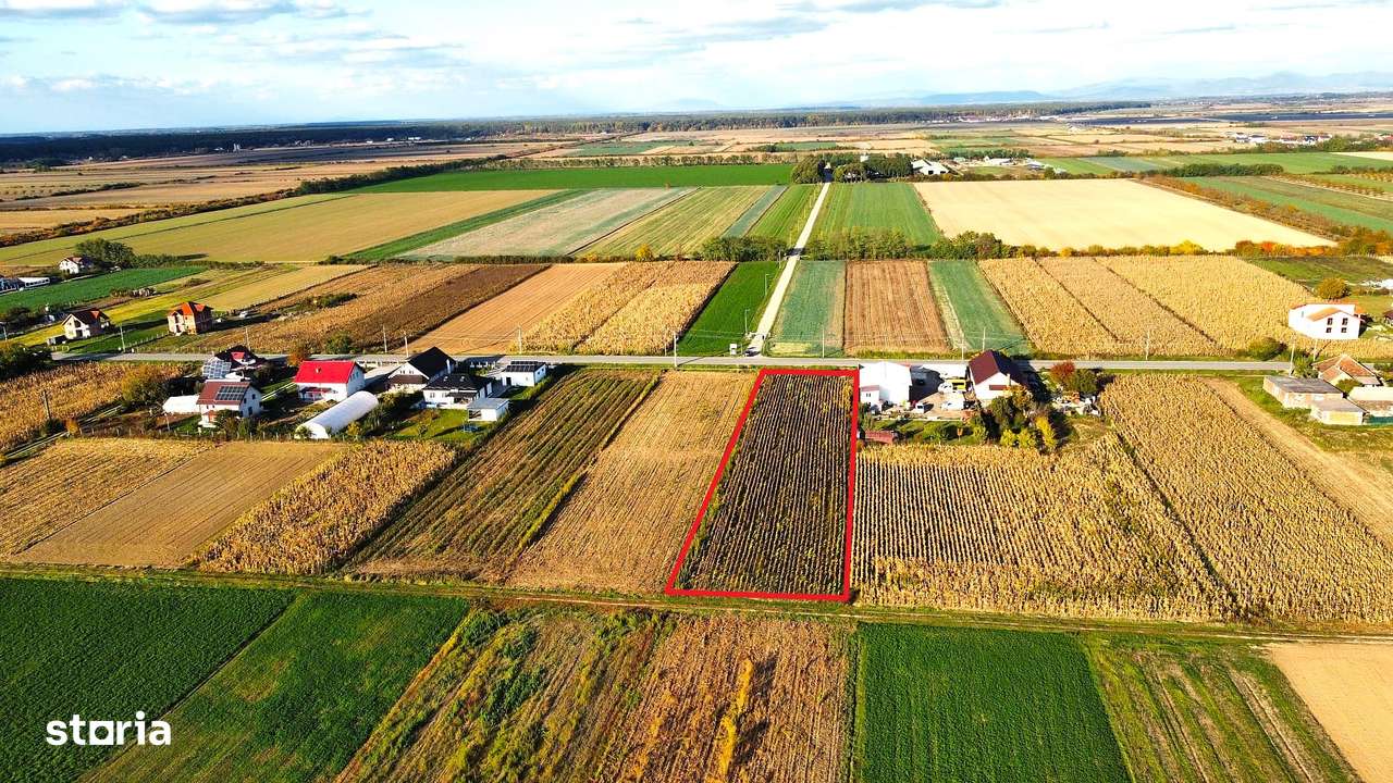 Video | Teren intravilan de vanzare – 3000 mp-5