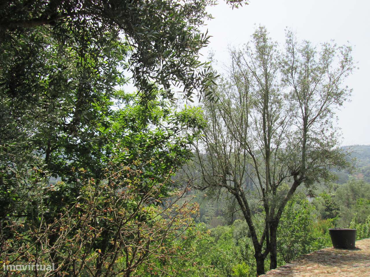 Quintinha no Minho Ponte de Lima * 10.000 m2 * a 90 Km do Porto-51