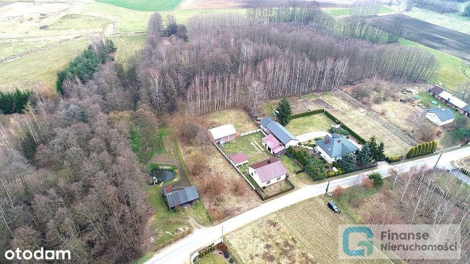 Działka pod zabudowę, Pasieka Wałowska - Pełny obrazek: 4/15