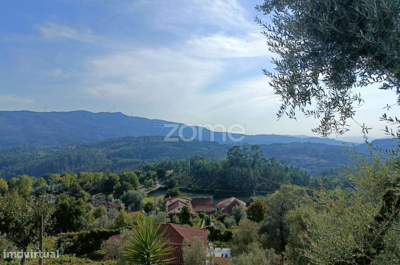 Moradia T1 para restauro em Rossas, Vieira do Minho - Grande imagem: 5/21