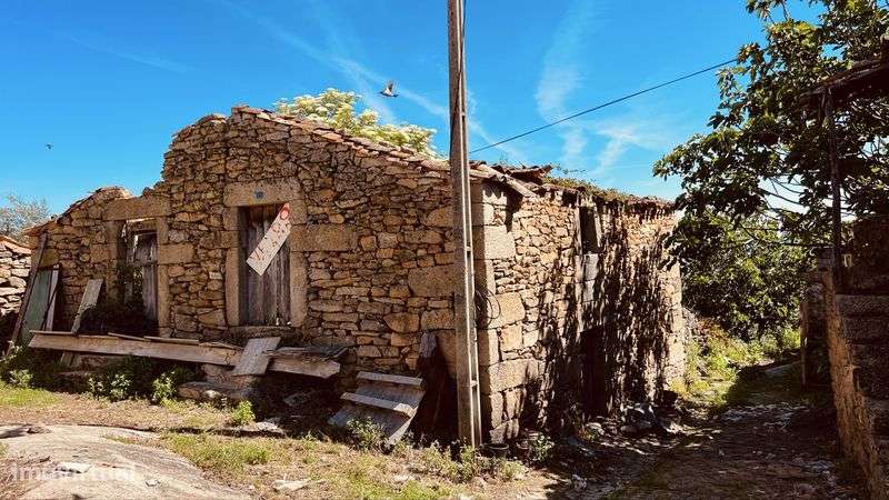 Moradia em Felgar Moncorvo - Grande imagem: 5/6