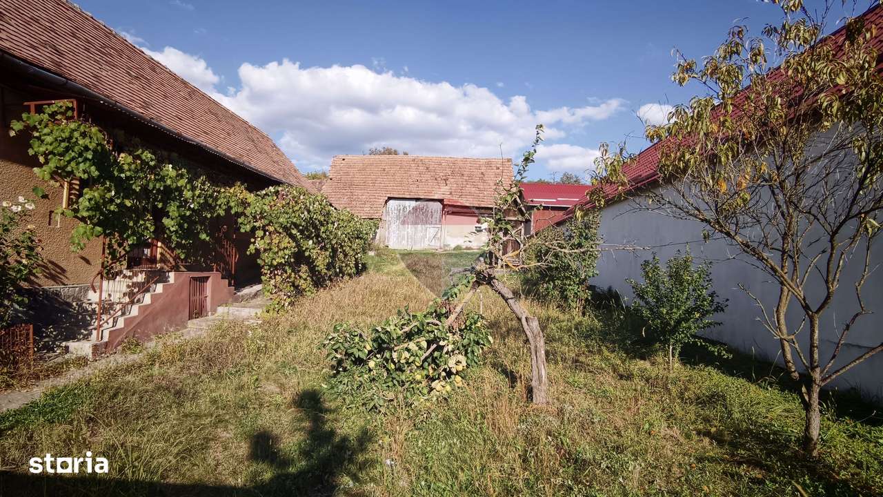 Casă cu 3 camere și este 2.500 mp teren , Blăjel – aproape de Medias-6