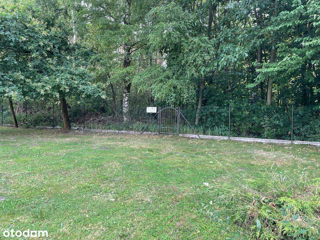 Działka rekreacyjna 1460 Feliksów Uzbrojona Las Cisza Duży Ogród MPZ - Pełny obrazek: 2/8
