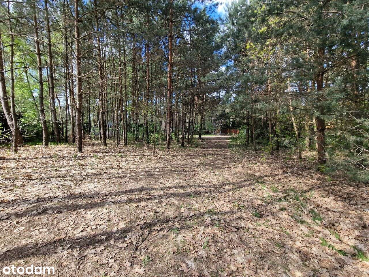 Atrakcyjne działki - Zbiczno-9