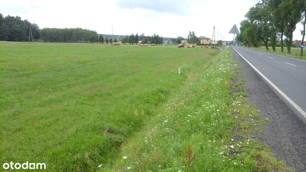 Działka, 110 000 m², Krapkowice