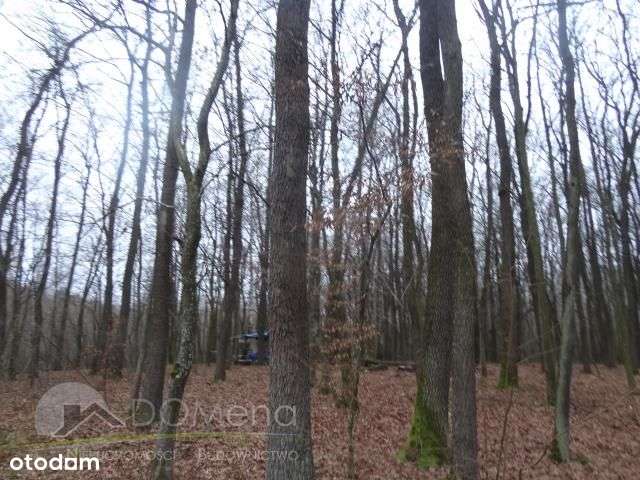 Działka, 8 600 m², Zawalów-7