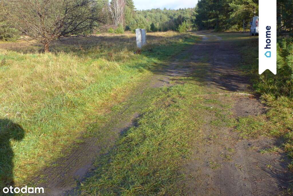 Atrakcyjna działka budowlana w Rybakowie 12 arów - Pełny obrazek: 5/6
