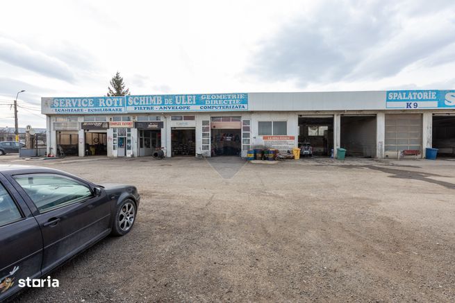 Afacere la CHEIE, spalatorie auto, mecanica usoara,  statie ITP-12