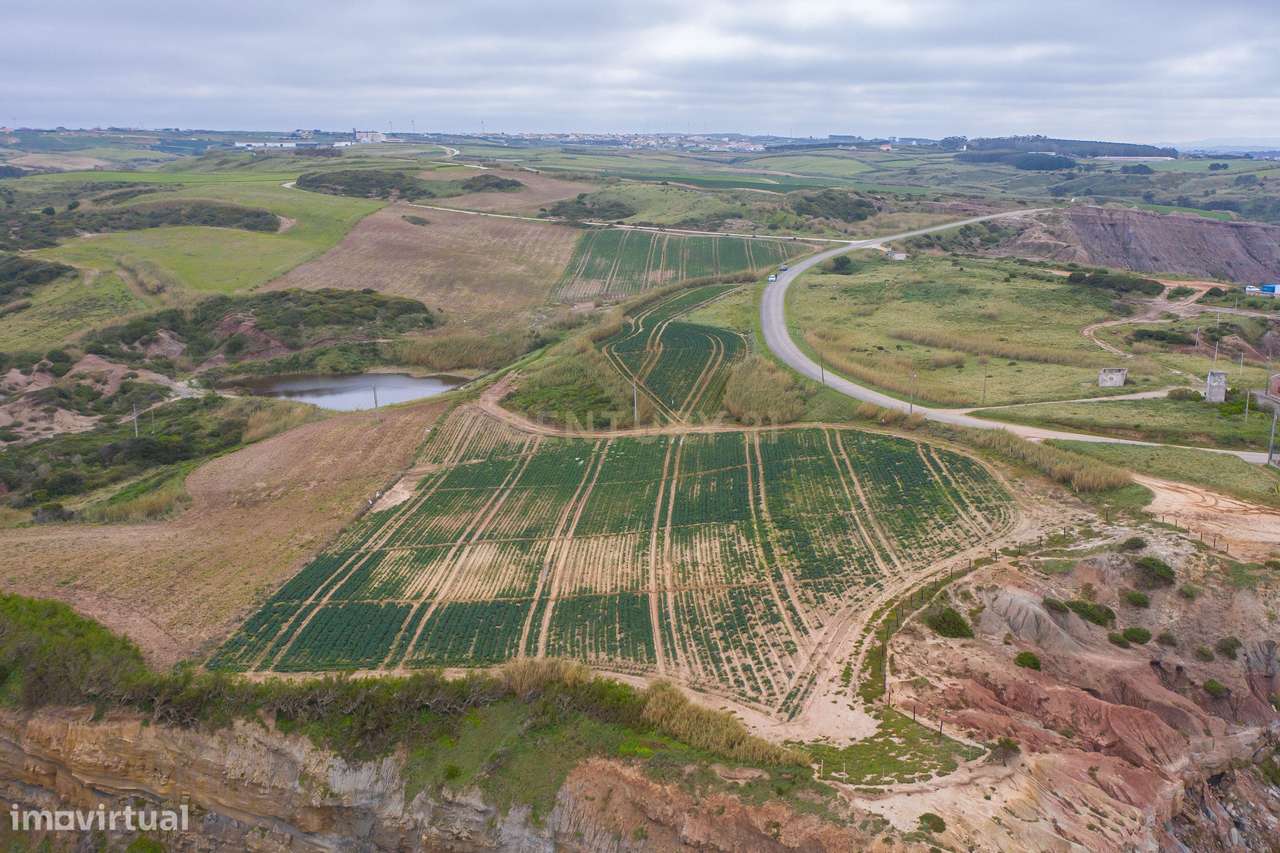Vende se Terreno Rústico, em Pai Mogo, Lourinhã - Grande imagem: 3/20