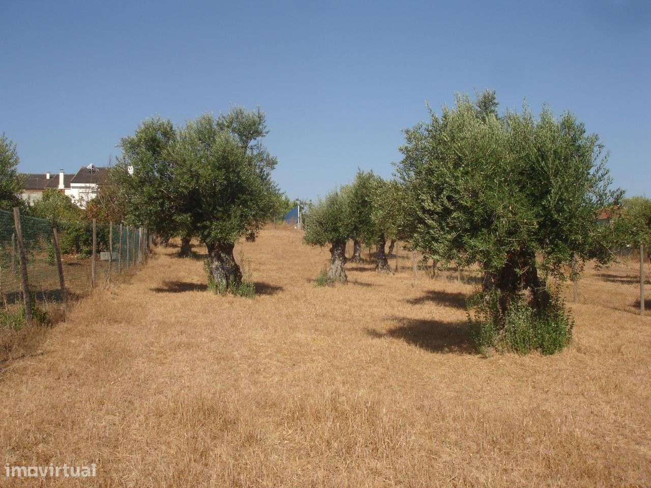 Lote Terreno - Grande imagem: 4/5