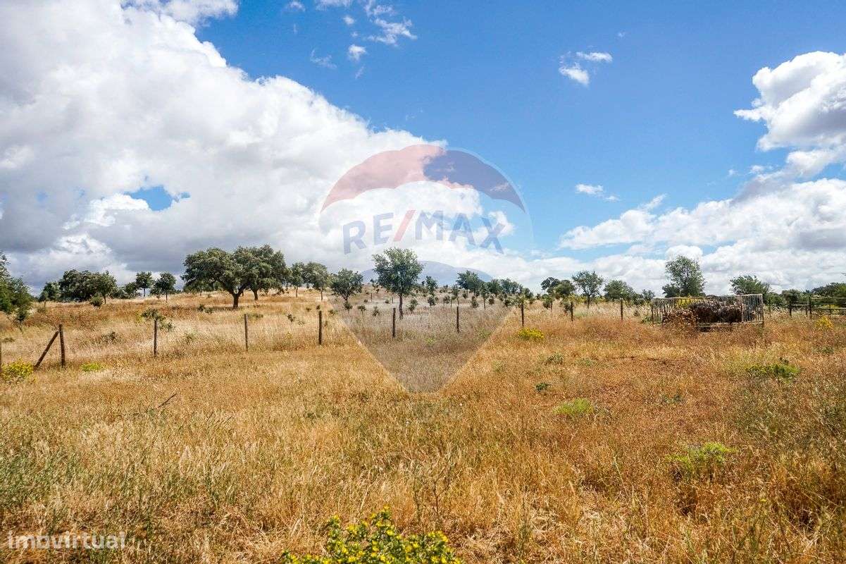 Herdade T2 para venda - Grande imagem: 5/19