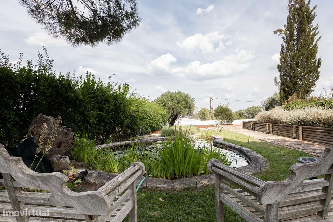 Propriedade Única com Piscina, Lago e Produção de Azeite-47