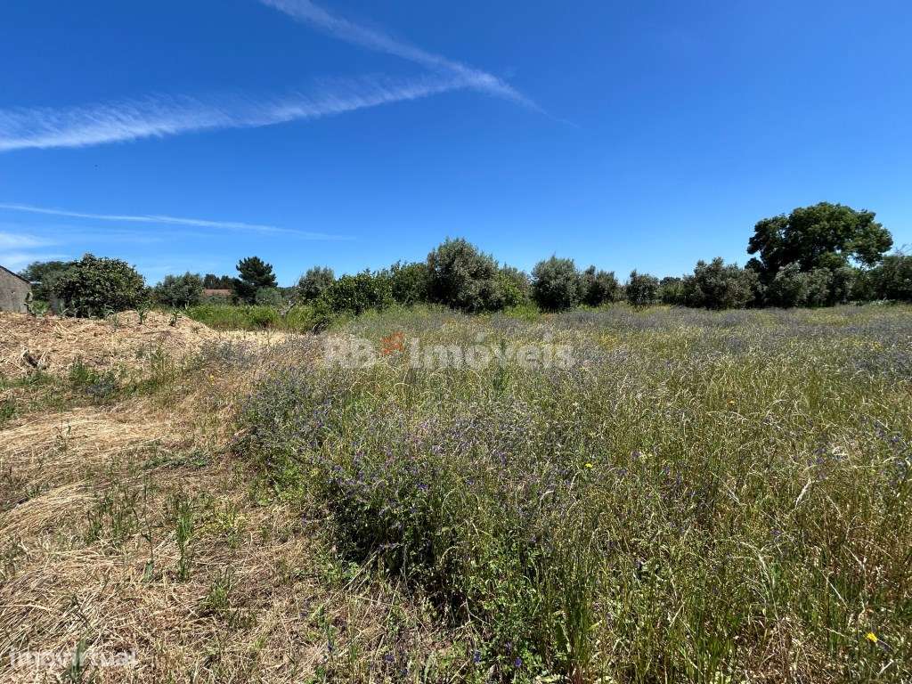 Terreno com Poço - Bairrada, Tomar - Grande imagem: 3/7