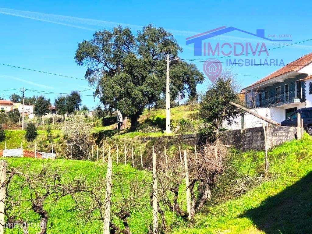 Quinta com mais de um héctar de terreno, em Graça, Pedrogão Grande-17
