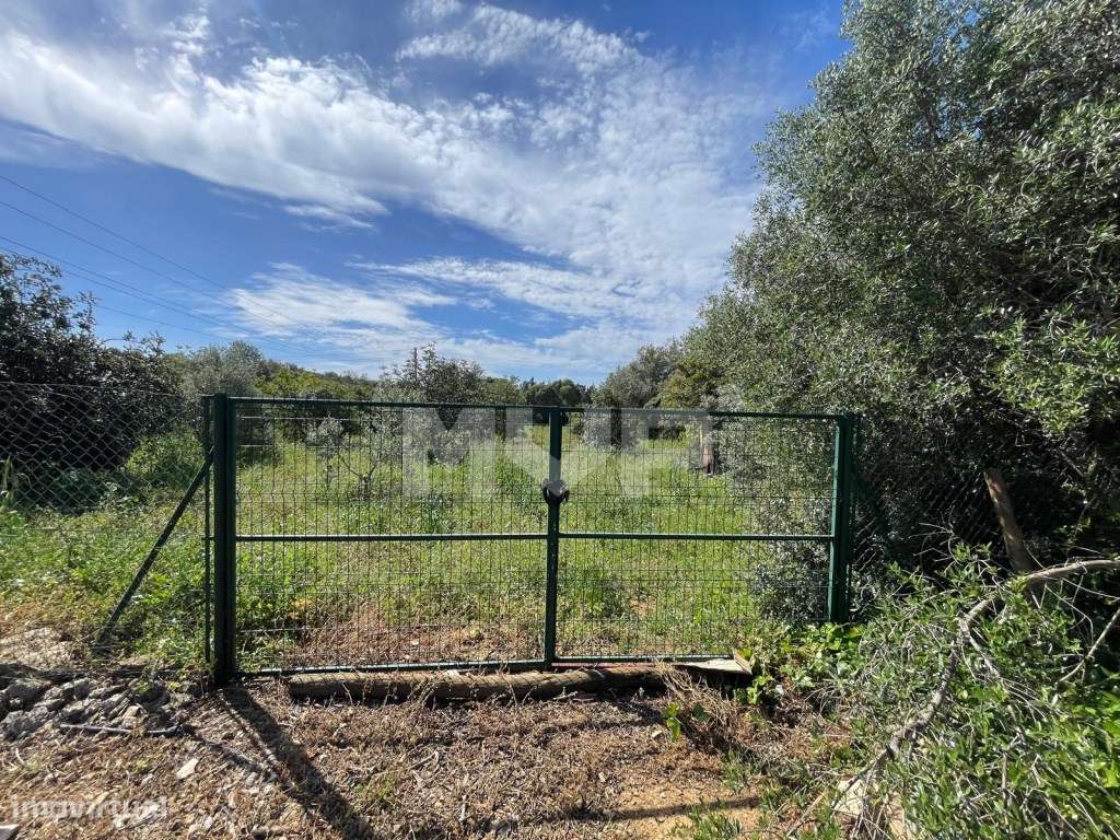 Quinta com 3 quartos e forno em Santa Bárbara de Nexe, Faro.-37