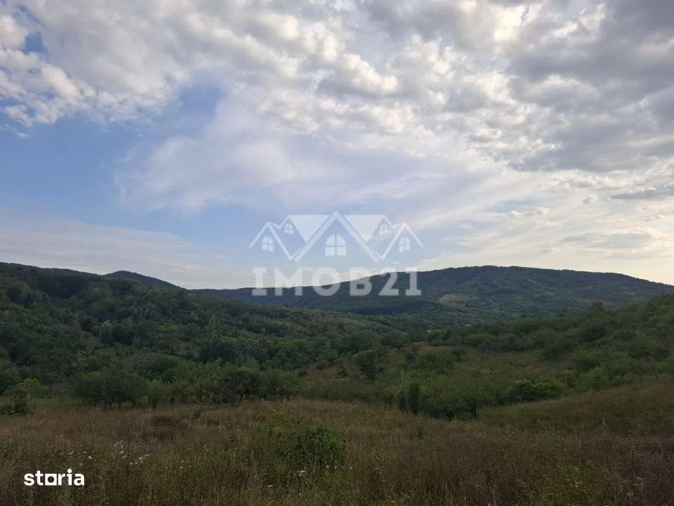 Teren spectaculos cu padure, livada si priveliste panoramica in Soimar-16