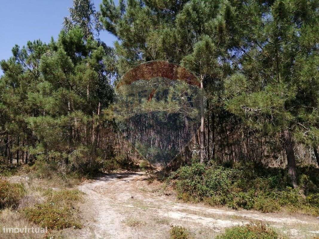 Terreno  para venda - Grande imagem: 5/9