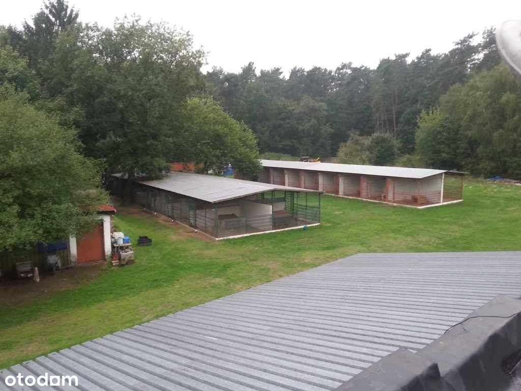 Dom, 106 m², Sierakowo-19